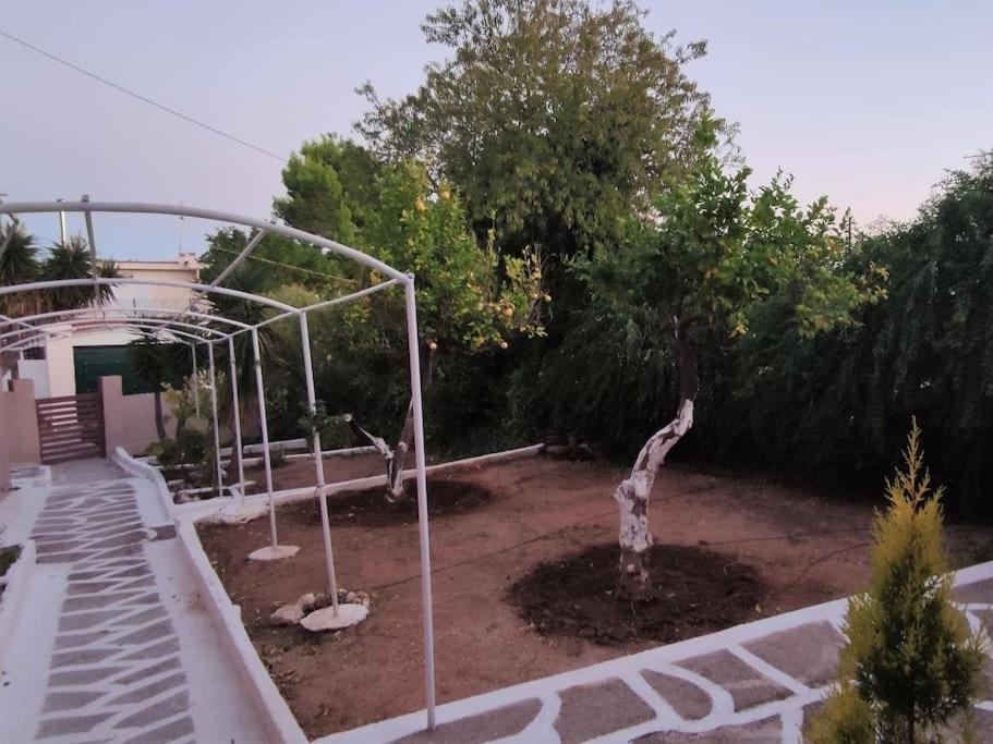 Penthouse Studio Next To The Sea Salamis Exterior photo